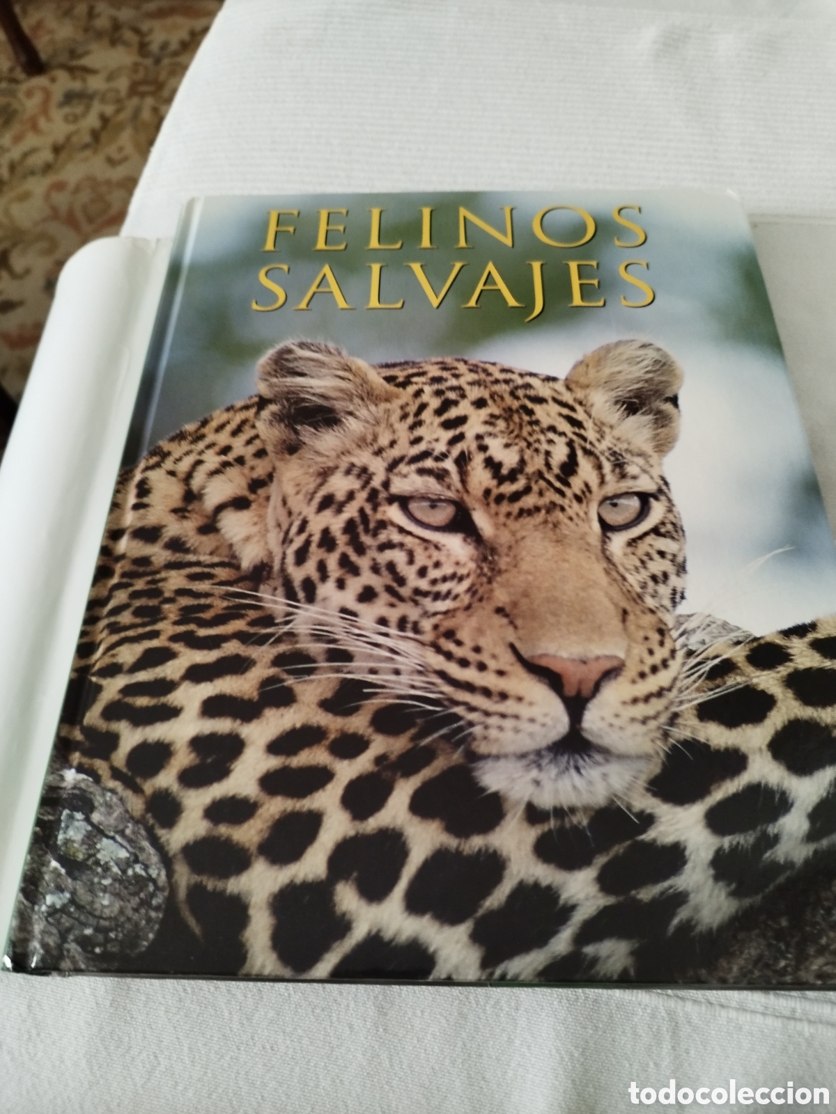 Libros: Libro Felinos Salvajes - Foto 1