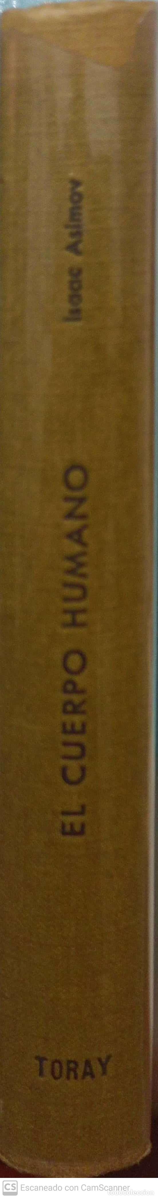 Libros: El cuerpo humano - Isaac Asimov - Foto 2