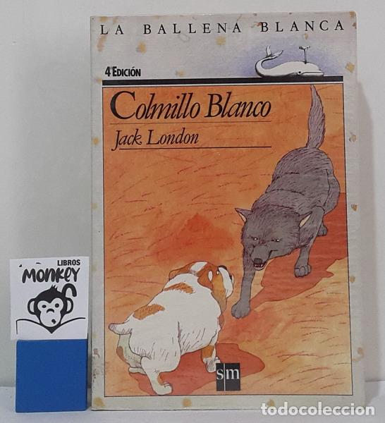 Libros: Colmillo Blanco - Jack London - Foto 1