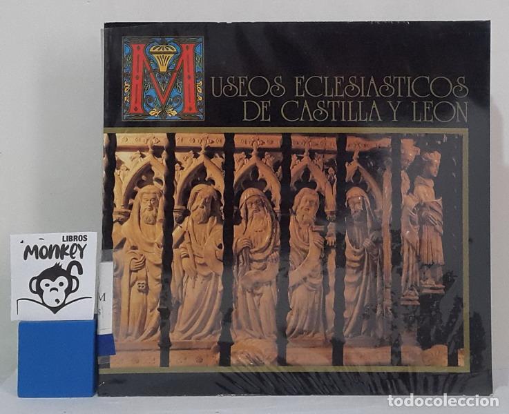Libros: Museos Eclesi&aacute;sticos de Castilla y Le&oacute;n - M&aacute;ximo G&oacute;mez Rasc&oacute;n - Foto 1