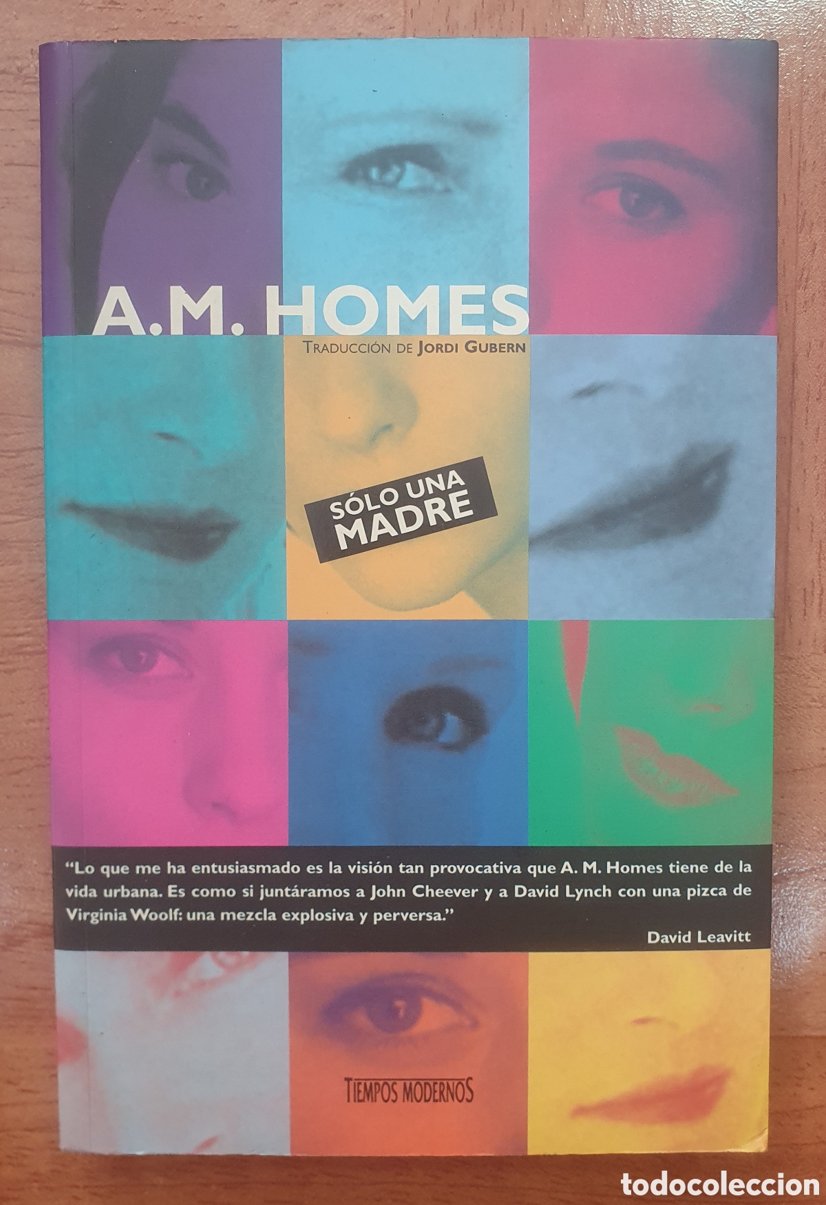 Libros: S&oacute;lo una Madre - A. M. Homes - Foto 1