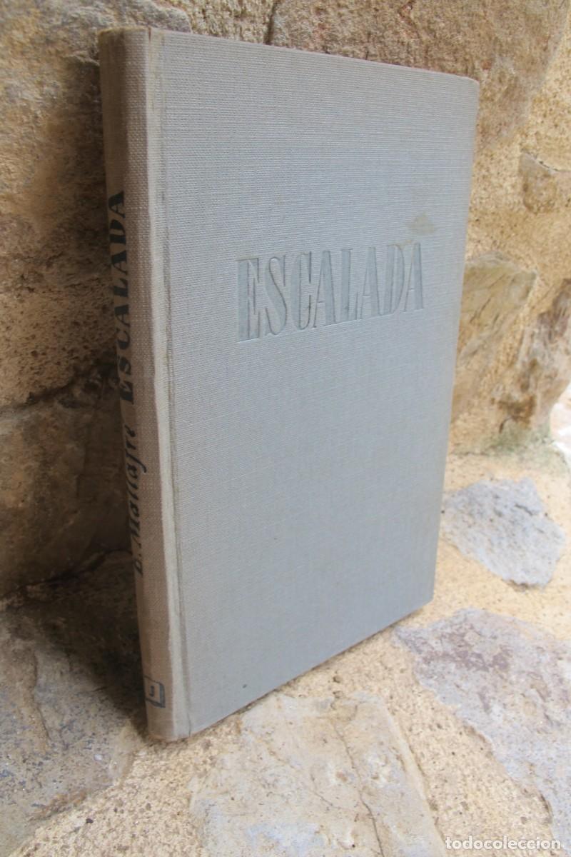 Libros: ESCALADA. ERNESTO MALLAFRE. JUVENTUD 1954 - Foto 1