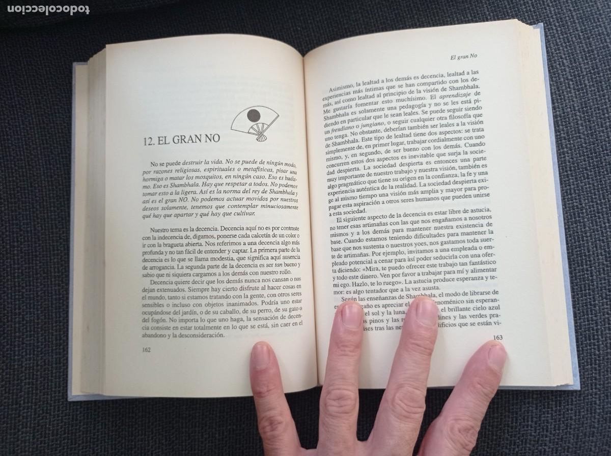 Libros: Libro El sol del gran este. Chogyam Trungpa. RBA 2007. - Foto 10