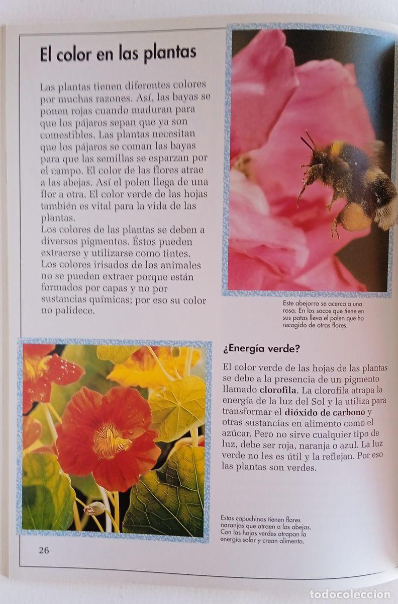 Libros: 2 libros. NATURALEZA EN ACCI&Oacute;N. LUZ. BRU&Ntilde;O 1992 - Foto 7