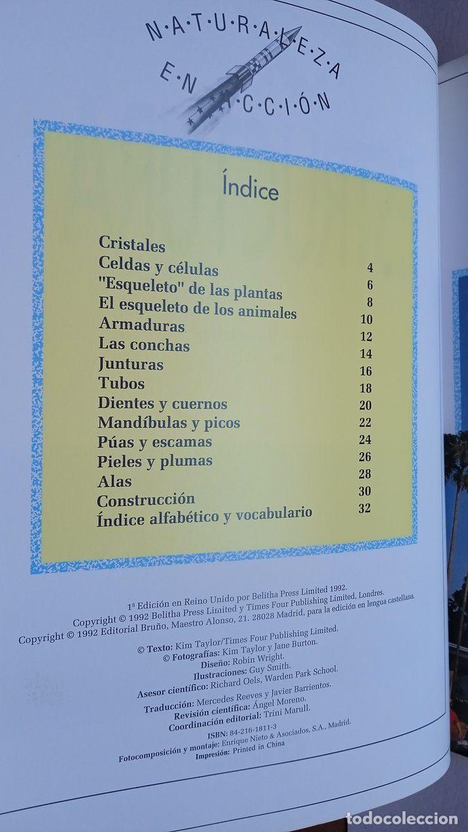 Libros: 2 libros. NATURALEZA EN ACCI&Oacute;N. LUZ. BRU&Ntilde;O 1992 - Foto 11