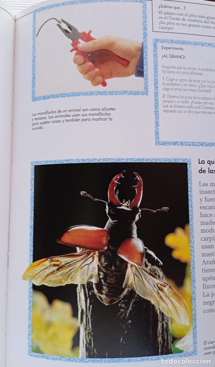 Libros: 2 libros. NATURALEZA EN ACCI&Oacute;N. LUZ. BRU&Ntilde;O 1992 - Foto 14
