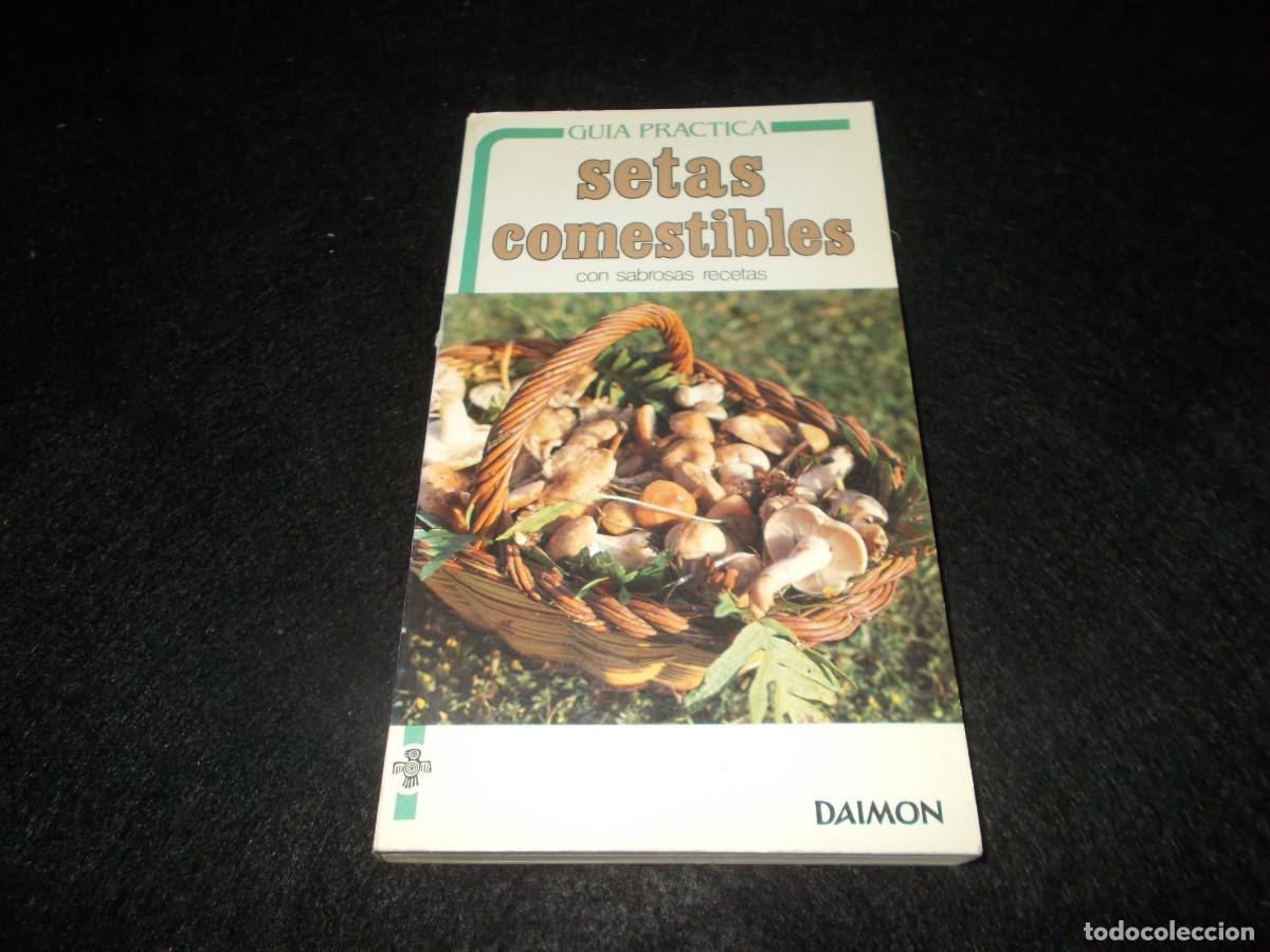 Libros: GU&Iacute;A PR&Aacute;CTICA SETAS COMESTIBLES, con Recetas. Daimon 1984. Libro Micolog&iacute;a - Foto 1