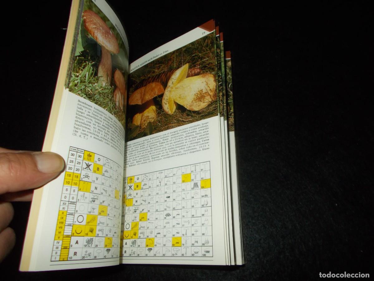 Libros: GU&Iacute;A PR&Aacute;CTICA SETAS COMESTIBLES, con Recetas. Daimon 1984. Libro Micolog&iacute;a - Foto 2