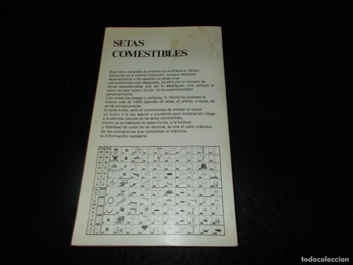 Libros: GU&Iacute;A PR&Aacute;CTICA SETAS COMESTIBLES, con Recetas. Daimon 1984. Libro Micolog&iacute;a - Foto 4