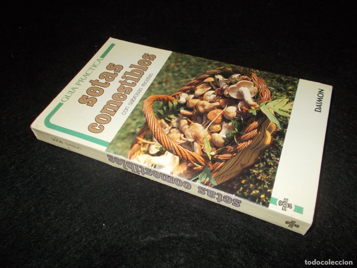 Libros: GU&Iacute;A PR&Aacute;CTICA SETAS COMESTIBLES, con Recetas. Daimon 1984. Libro Micolog&iacute;a - Foto 5