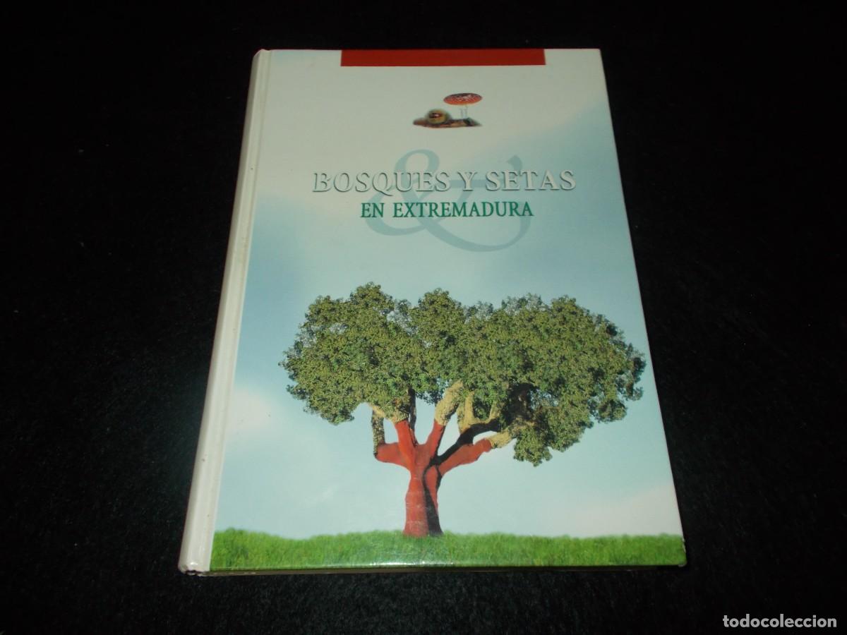 Libros: BOSQUES Y SETAS EN EXTREMADURA. 1999. Libro Micolog&iacute;a - Foto 1