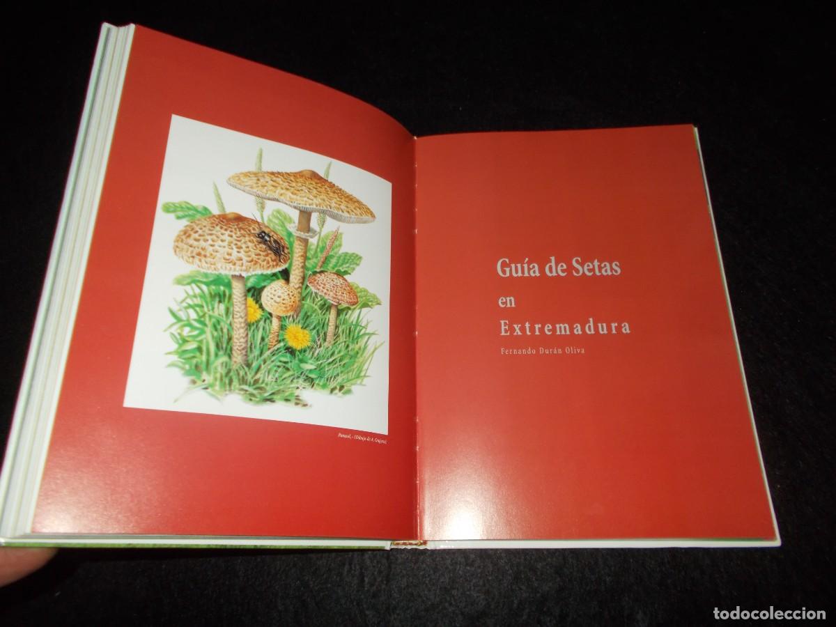 Libros: BOSQUES Y SETAS EN EXTREMADURA. 1999. Libro Micolog&iacute;a - Foto 4