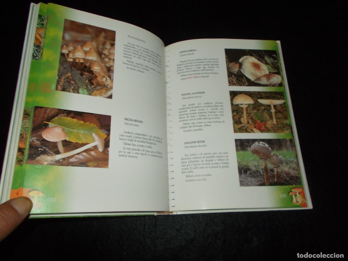 Libros: BOSQUES Y SETAS EN EXTREMADURA. 1999. Libro Micolog&iacute;a - Foto 5