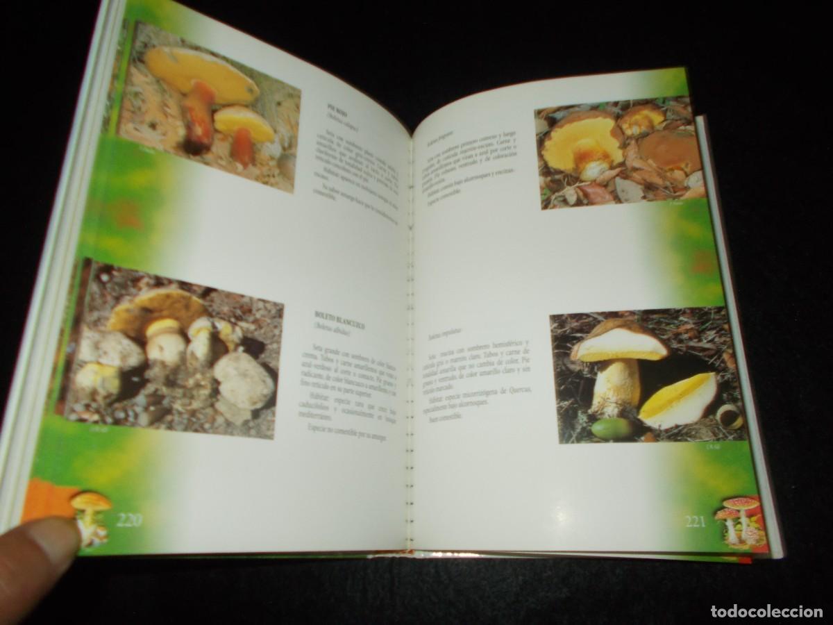 Libros: BOSQUES Y SETAS EN EXTREMADURA. 1999. Libro Micolog&iacute;a - Foto 6