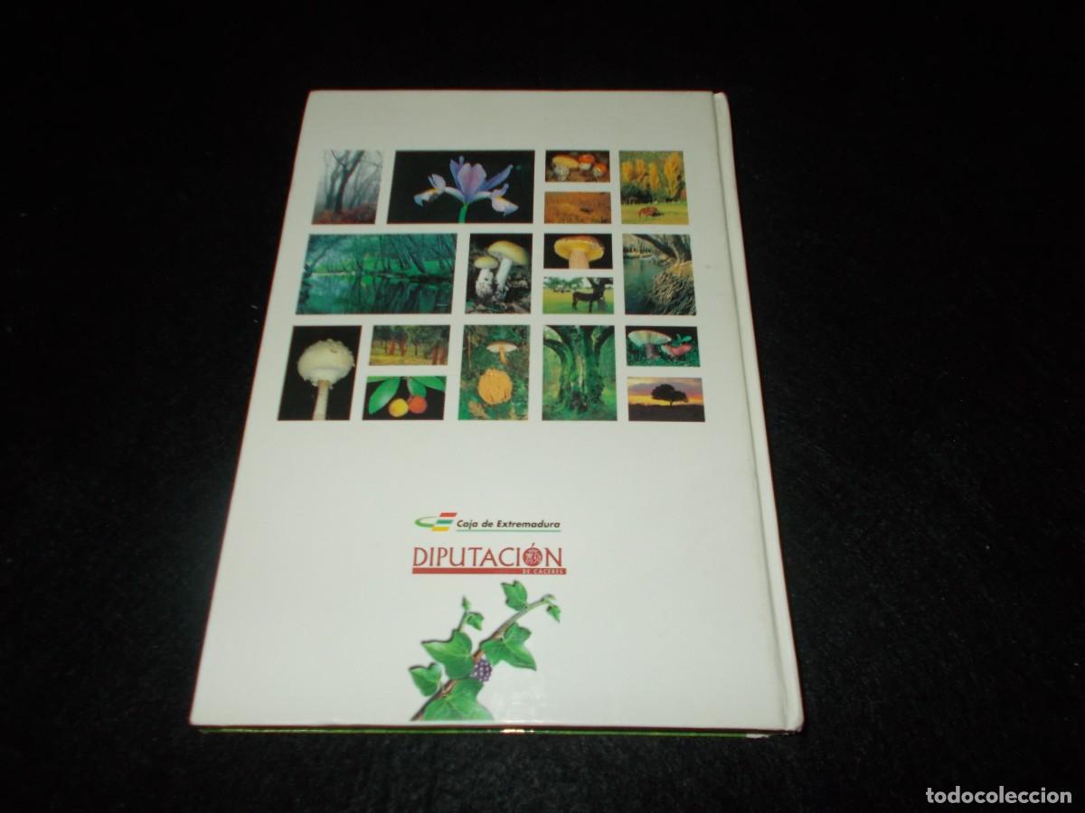Libros: BOSQUES Y SETAS EN EXTREMADURA. 1999. Libro Micolog&iacute;a - Foto 7