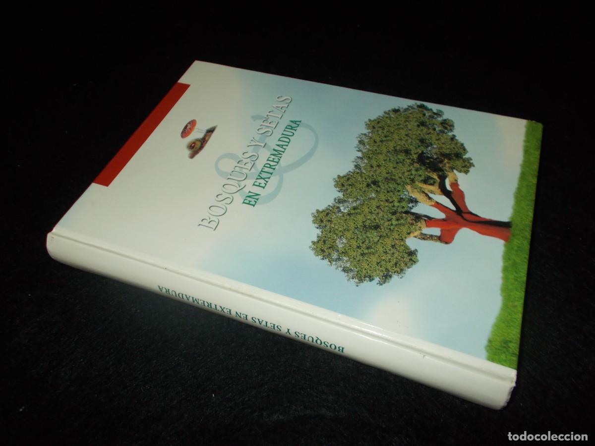 Libros: BOSQUES Y SETAS EN EXTREMADURA. 1999. Libro Micolog&iacute;a - Foto 8