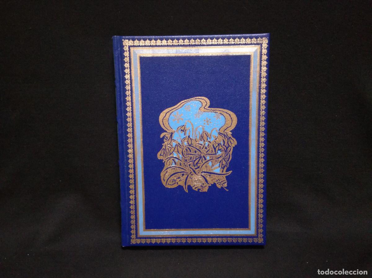 Libros: LIBRO - CARTAS FILANDESAS - ANGEL GANIVET - Foto 1