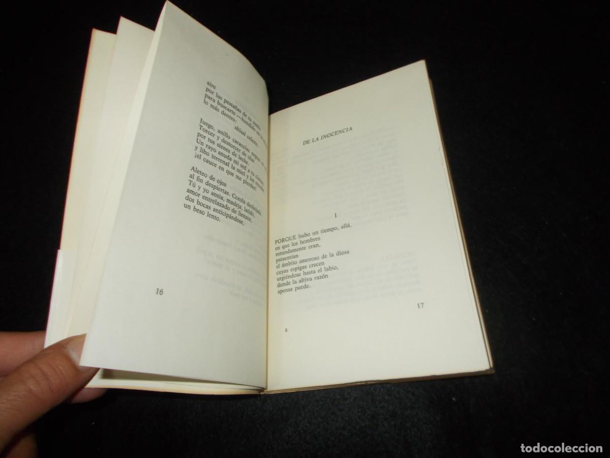 Libros: A ESTE LADO DEL ALBA. Basilio S&aacute;nchez. Adonais 413. Rialp 1984. Libro - Foto 4