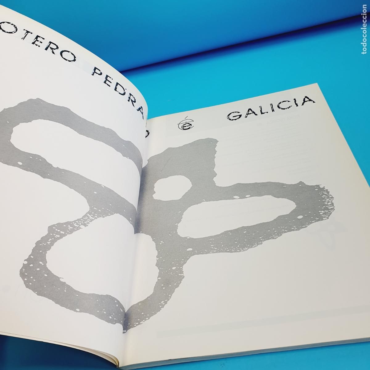 Libros: LIBRO-EXPOSICI&Oacute;N CENTENARIO-RAM&Oacute;N OTERO PEDRAYO-EXCELENTE - Foto 7