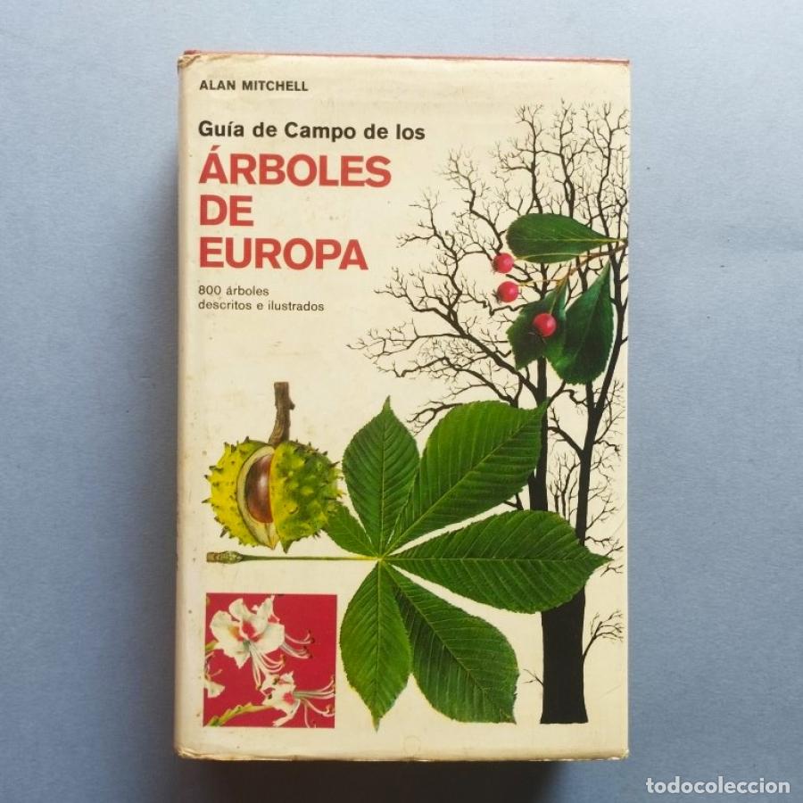 Libri di seconda mano: Gu&iacute;a de Campo de los Arboles de Europa. Con 40 l&aacute;minas en color originales de Preben Dahlstr&ouml;m y Ebb