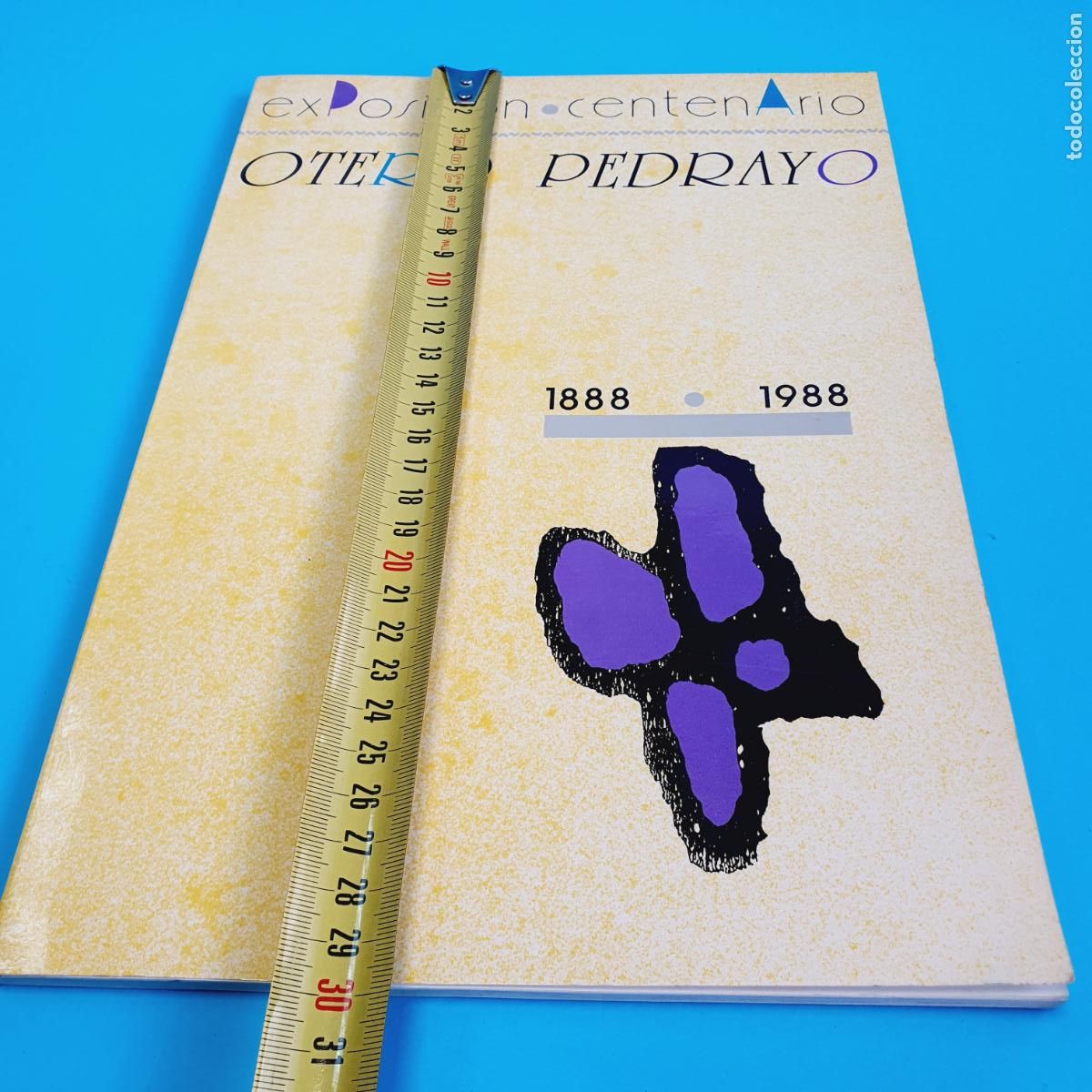 Libros: LIBRO-EXPOSICI&Oacute;N CENTENARIO-RAM&Oacute;N OTERO PEDRAYO-EXCELENTE - Foto 28