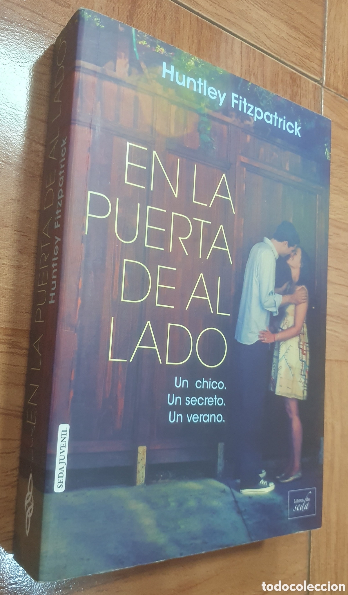 Libros: En la puerta de al lado � Libros de Seda - Huntley Fitzpatrick - Foto 1