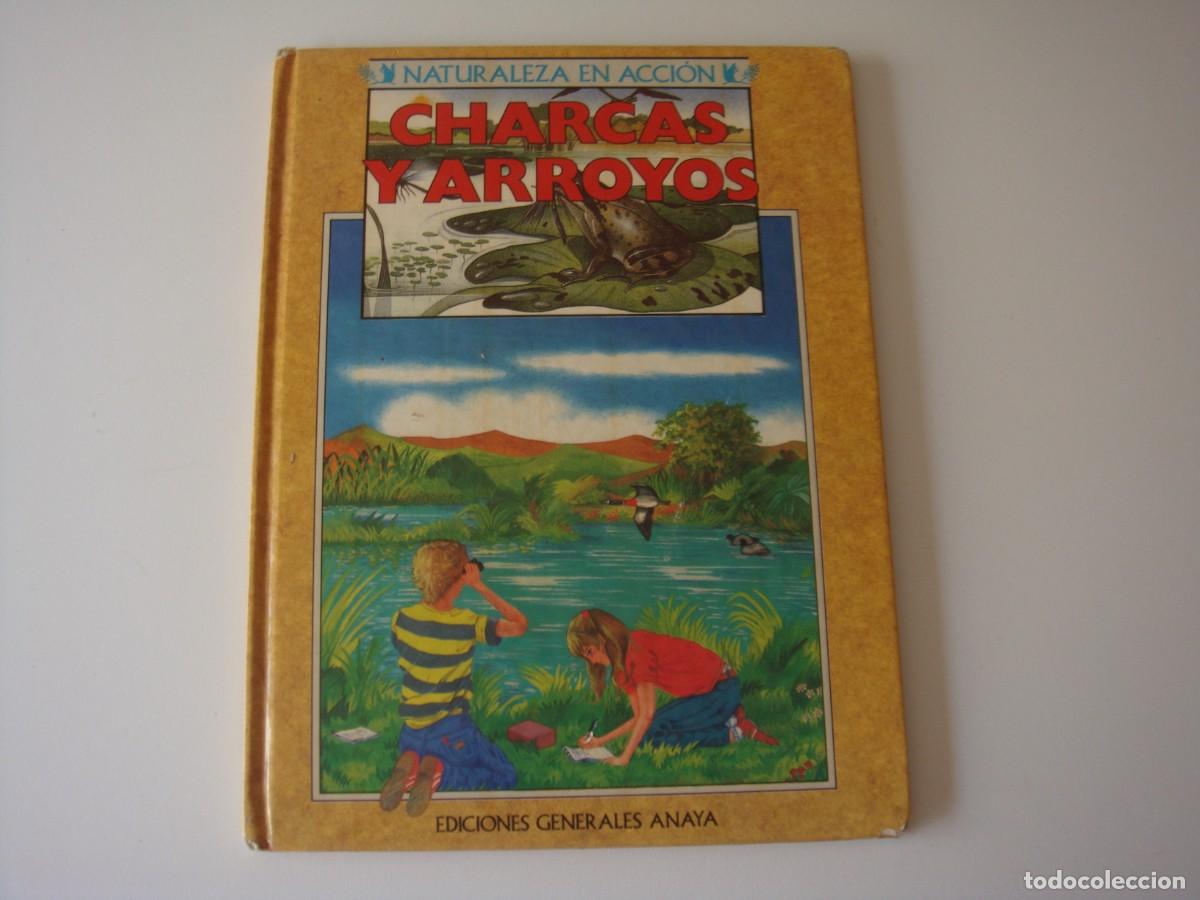 Libros: CHARCAS Y ARROYOS ANAYA - Foto 1