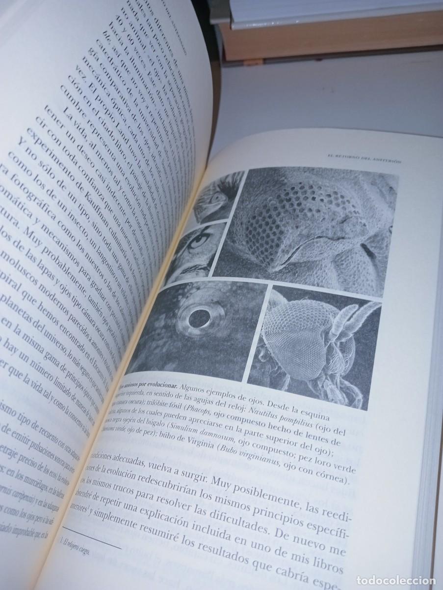 Libros: El cuento del antepasado - Foto 6