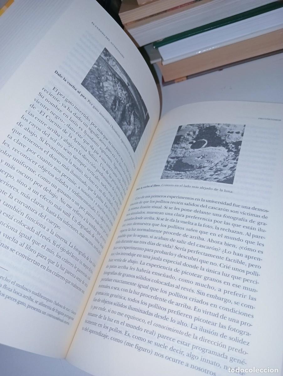 Libros: El cuento del antepasado - Foto 7