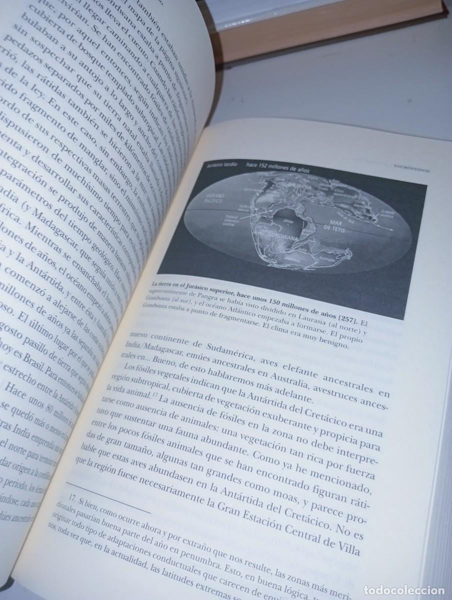 Libros: El cuento del antepasado - Foto 8