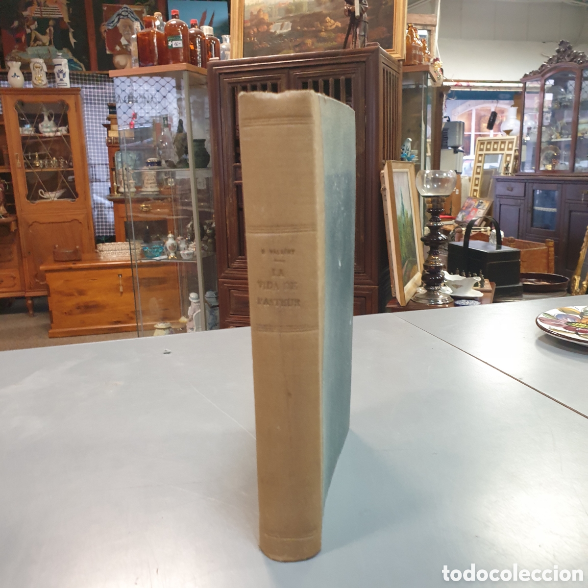 Libros: La vida de PASTEUR RENATO VALLERY - Foto 1