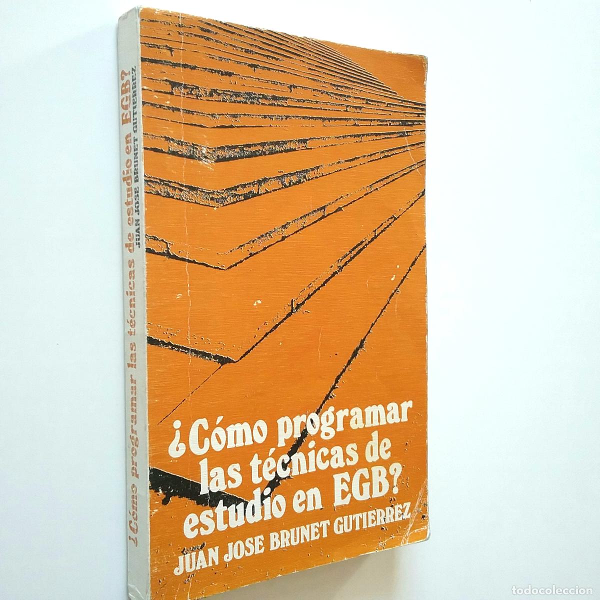 Libros: Juan Jos&eacute; Brunet Guti&eacute;rrez - &iquest;C&oacute;mo programar las t&eacute;cnicas de estudio de EGB? - Foto 1