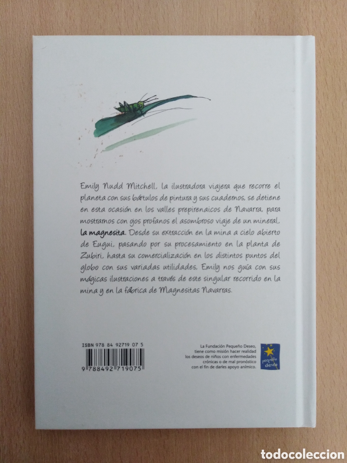 Libros: EL VIAJE DE LA MAGNESITA. Emily Nudd Mitchell - Foto 2