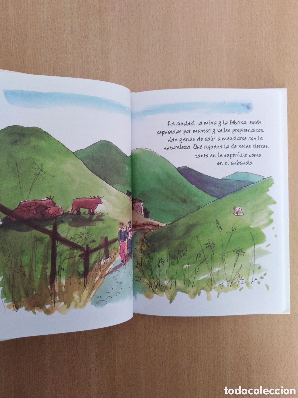 Libros: EL VIAJE DE LA MAGNESITA. Emily Nudd Mitchell - Foto 5