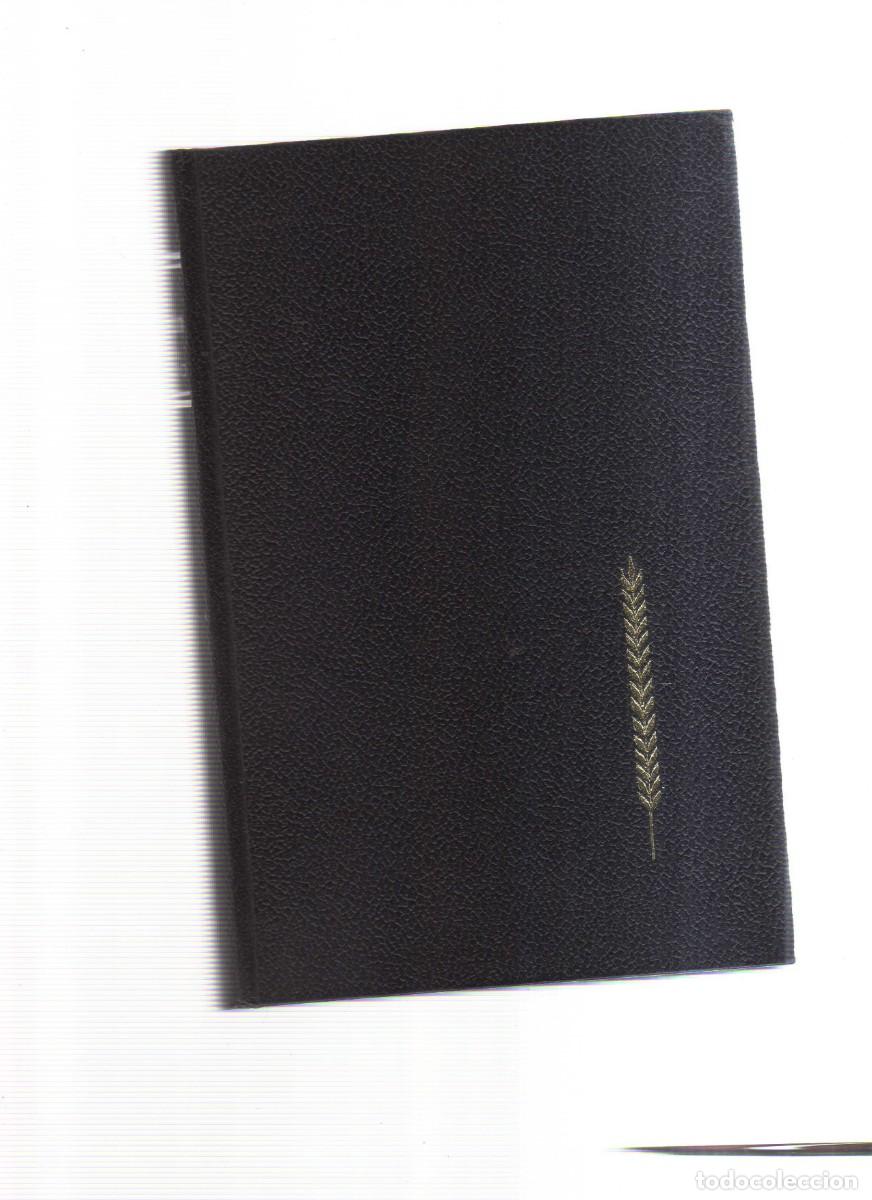 Libros: EL DECAMERON GIOVANNI BOCCACCIO BRUGUERA - Foto 1