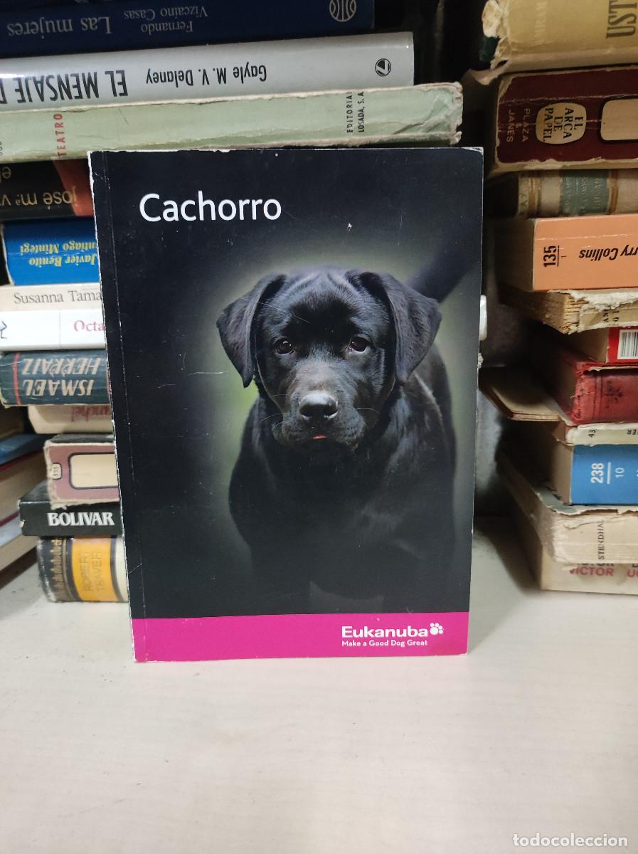 Libros: CACHORRO. EUKANUBA PERROS - Foto 1
