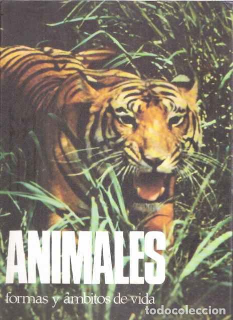 Libros: Animales - Dietmar Todt - Foto 1