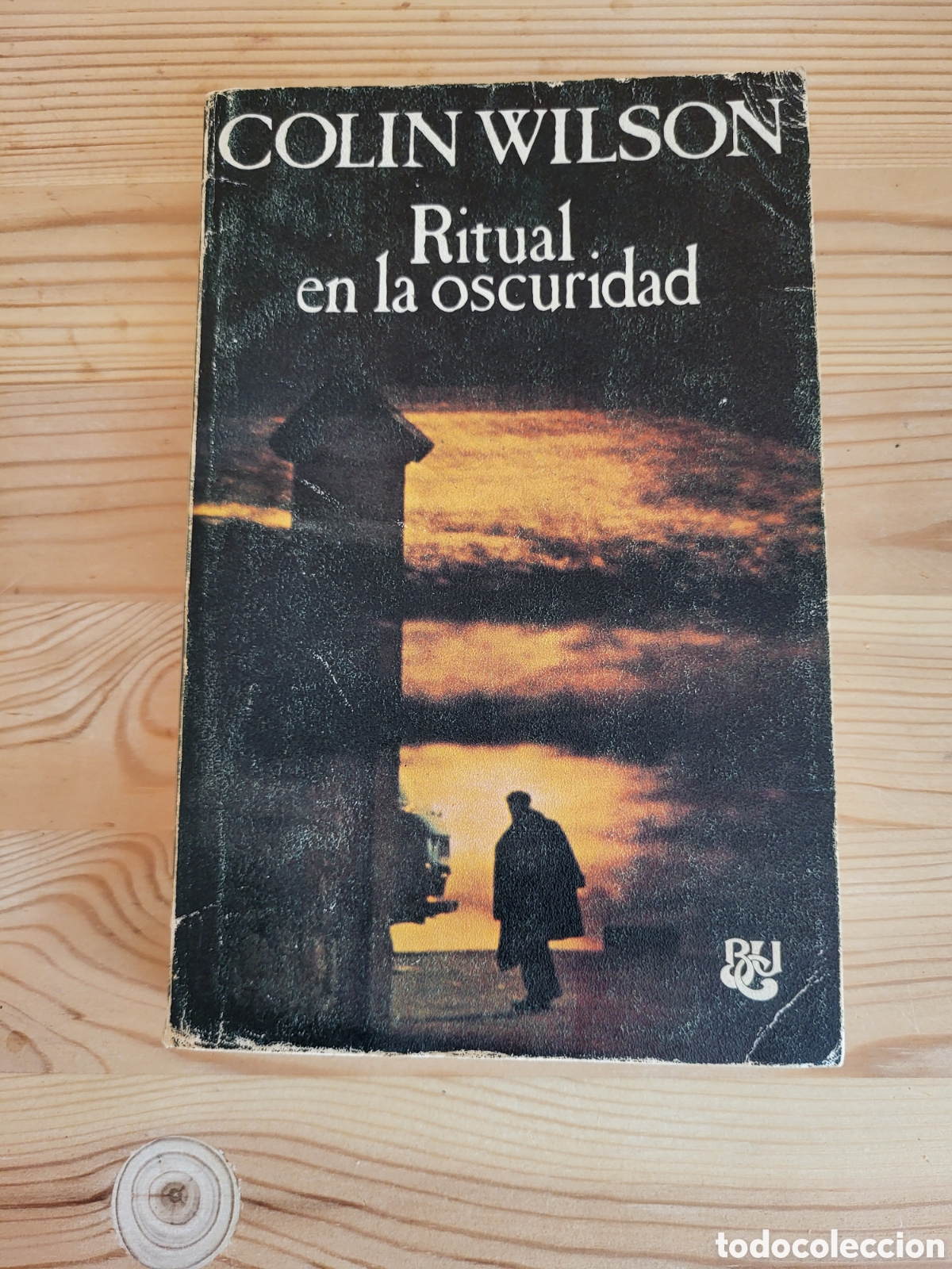 Libros: Ritual en la Oscuridad/Colin Wilson - Foto 1