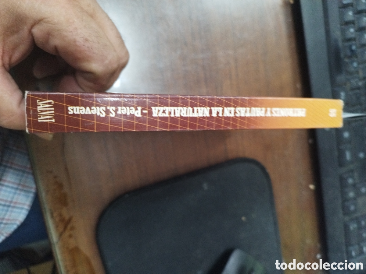 Libros: PATRONES Y PAUTAS EN LA NATURALEZA - STEVENS,Peter S. - Foto 2