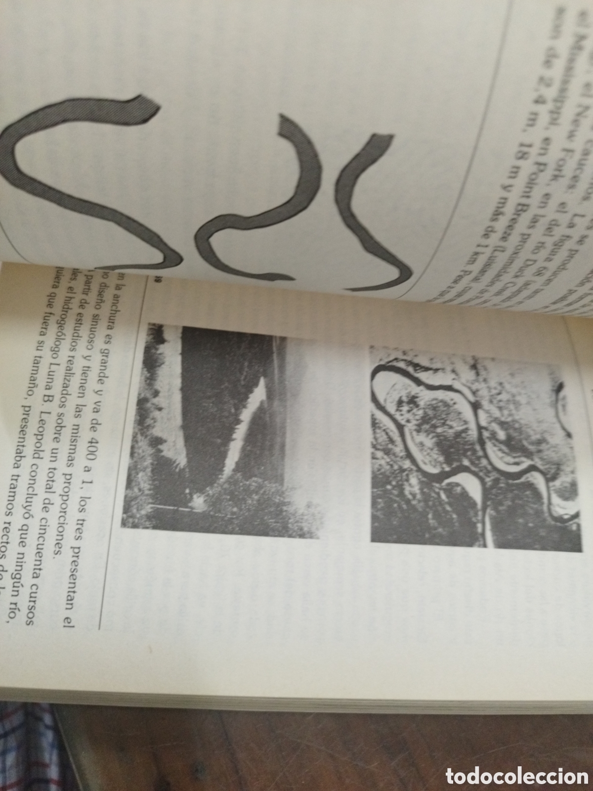 Libros: PATRONES Y PAUTAS EN LA NATURALEZA - STEVENS,Peter S. - Foto 7