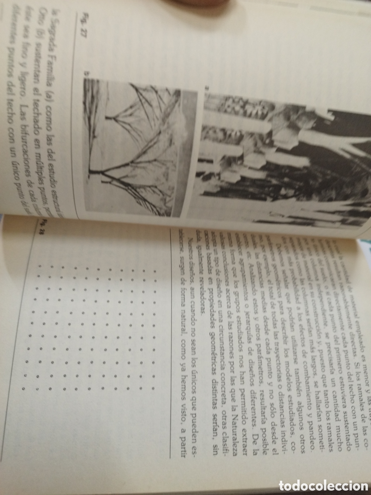 Libros: PATRONES Y PAUTAS EN LA NATURALEZA - STEVENS,Peter S. - Foto 8