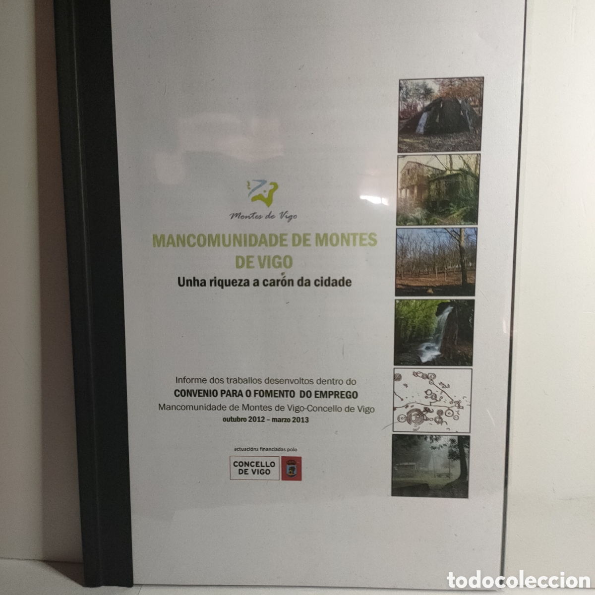 Libros: Mancomunidade de montes de Vigo. Unha riqueza a traves da cidade. Dossier manufacturado.2012/2013