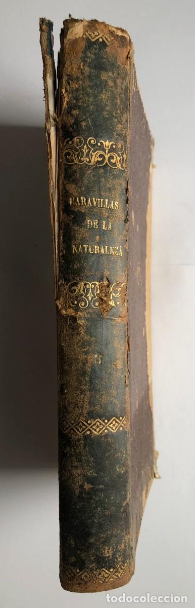 Libros: MARAVILLAS DE LA NATURALEZA 1903 - Foto 1
