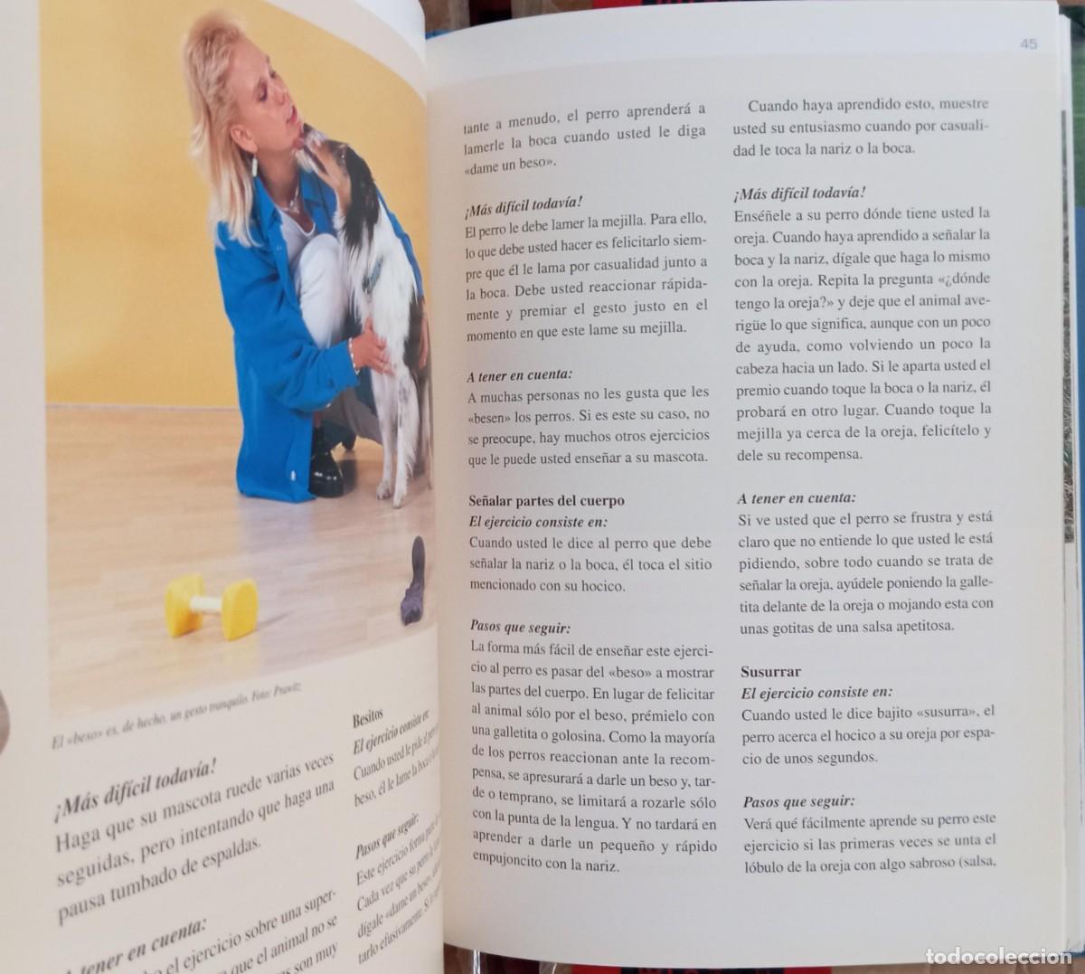 Libros: ADIESTRAMIENTO MENTAL PARA PERROS - ANDERS HALLGREN - Foto 3