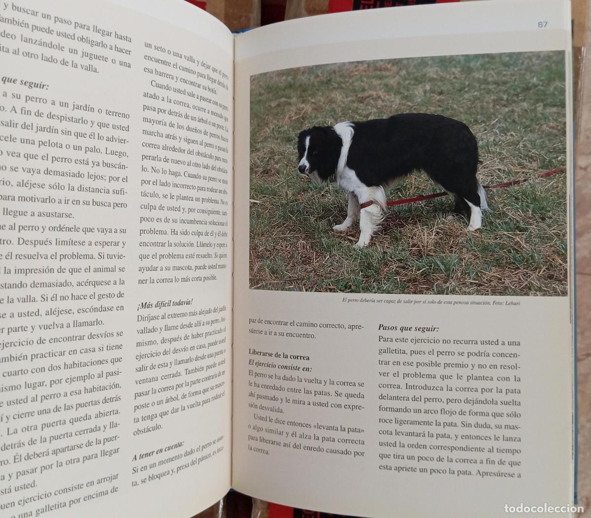 Libros: ADIESTRAMIENTO MENTAL PARA PERROS - ANDERS HALLGREN - Foto 4