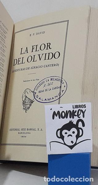 Libros: La flor del olvido (Aventuras de Ignacio Cantero) - E. P. David - Foto 2