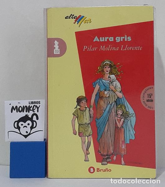 Libros: Aura gris - Pilar Molina Llorente - Foto 1
