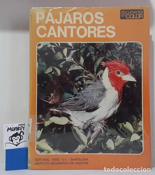 Libros: P&aacute;jaros cantores - Armando Grasselli - Foto 1