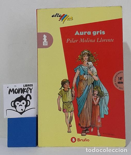 Libros: Aura gris - Pilar Molina Llorente - Foto 1