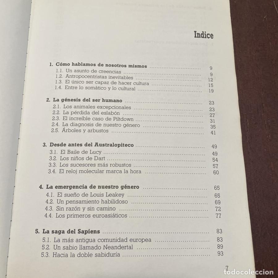 Libros: De los primeros seres humanos - Mar&iacute;a &Aacute;ngeles Querol - Foto 2